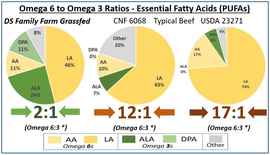 Finding Balance in the Omega-6 to Omega-3 Fatty Acid Ratio