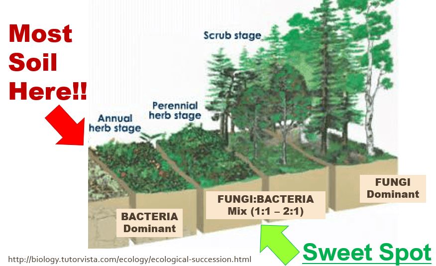 Soil Organic Matter (SOM) - DS Family Farm